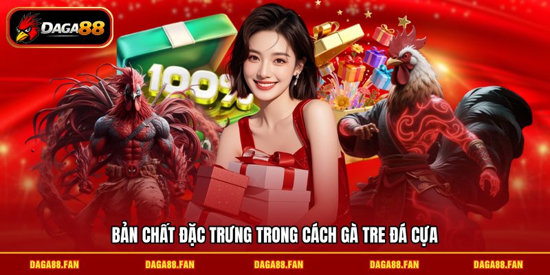 Bản chất đặc trưng trong cách gà tre đá cựa