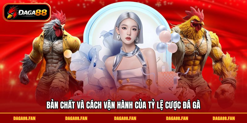 Bản chất và cách vận hành của tỷ lệ cược đá gà