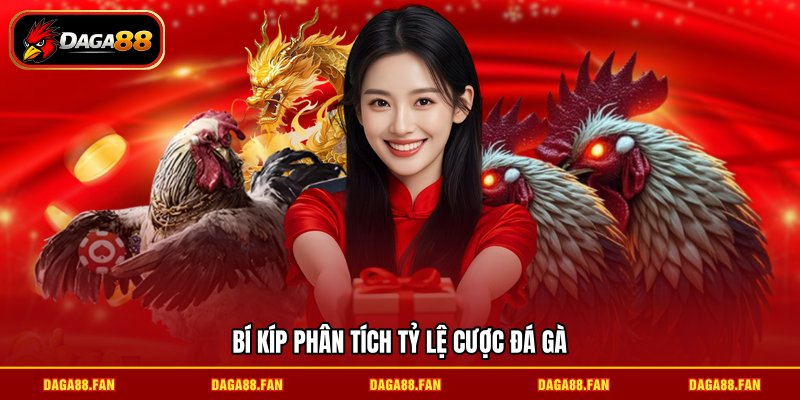 Bí kíp phân tích tỷ lệ cược đá gà