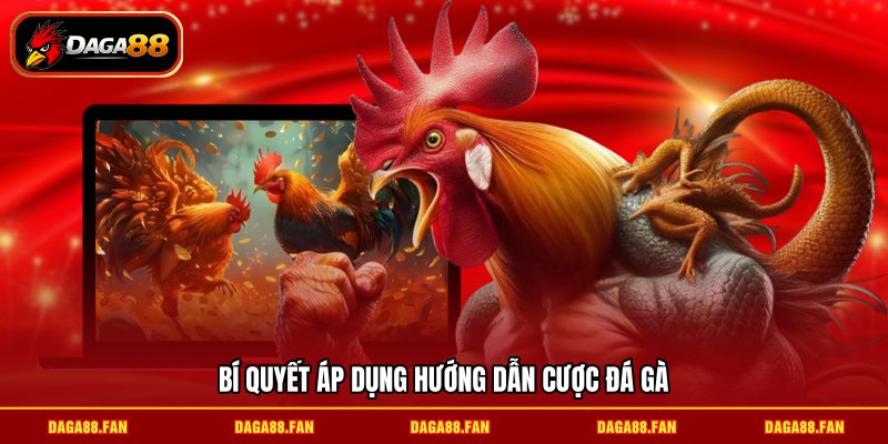 Bí quyết áp dụng hướng dẫn cược đá gà