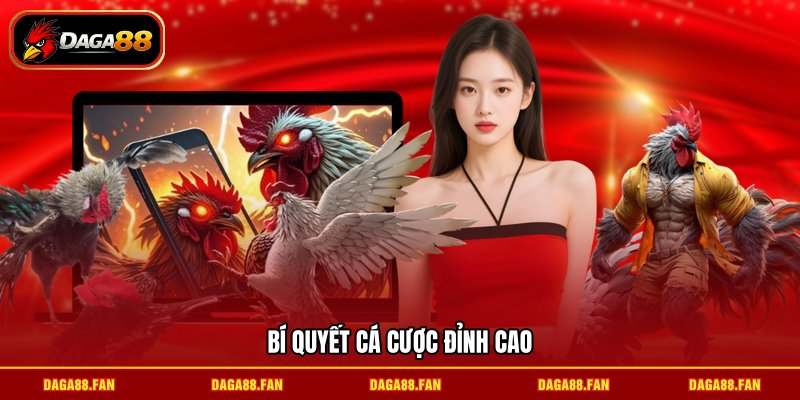 Bí quyết cá cược đỉnh cao