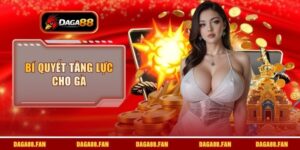 bí quyết tăng lực cho gà