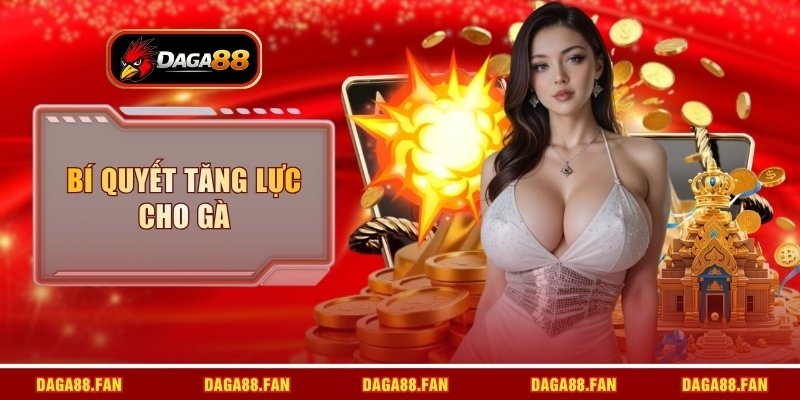 bí quyết tăng lực cho gà