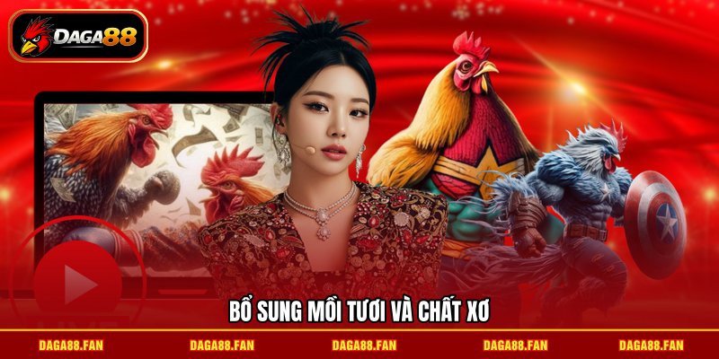 Bổ sung mồi tươi và chất xơ