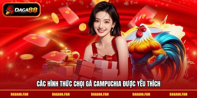 Các hình thức chọi gà Campuchia được yêu thích