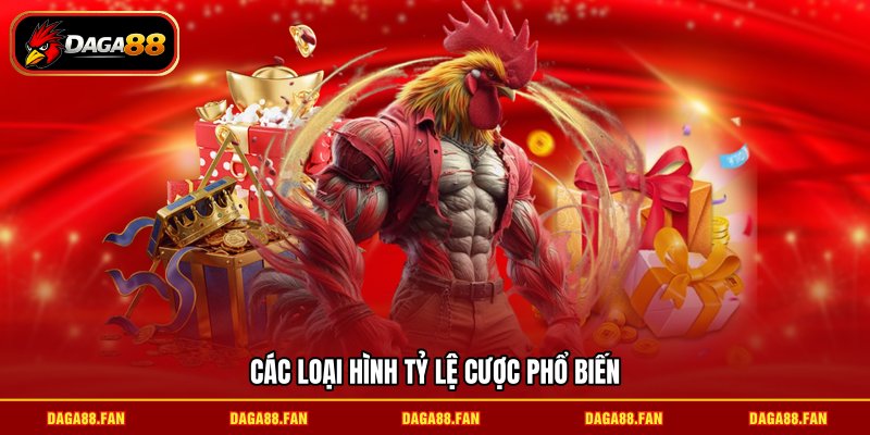 Các loại hình tỷ lệ cược phổ biến