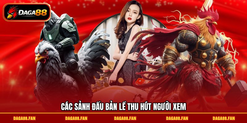 Các sảnh đấu bản lề thu hút người xem