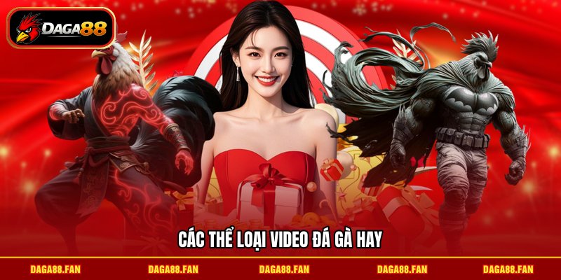 Các thể loại video đá gà hay