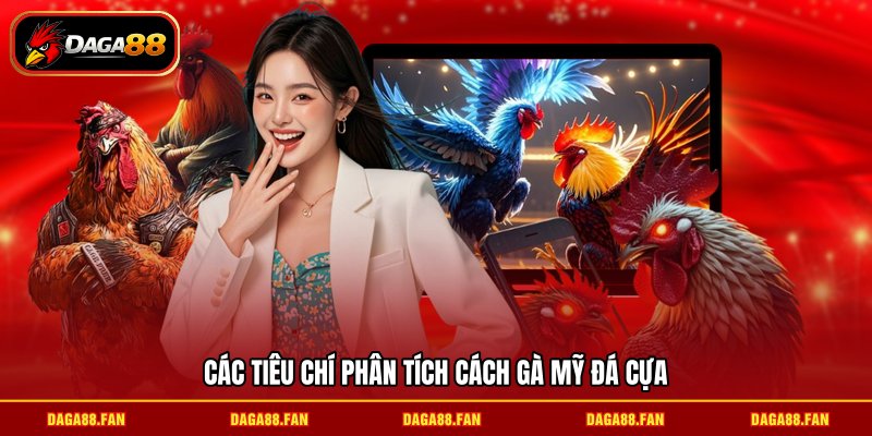 Các tiêu chí phân tích cách gà Mỹ đá cựa