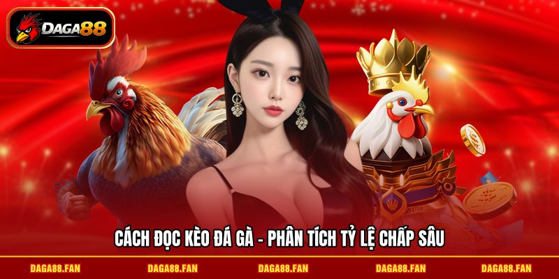 Cách đọc kèo đá gà - phân tích tỷ lệ chấp sâu