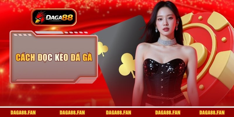 cách đọc kèo đá gà
