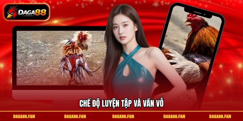 Chế độ luyện tập và vần vỗ