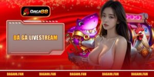 Đá gà livestream