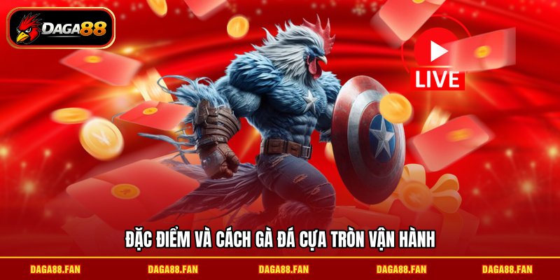 Đặc điểm và cách gà đá cựa tròn vận hành