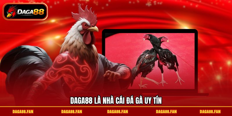 DAGA88 là nhà cái đá gà uy tín