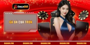 cách gà đá cựa tròn