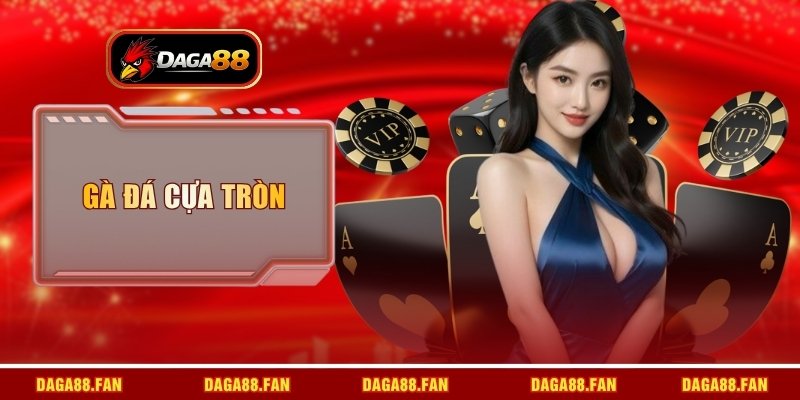 cách gà đá cựa tròn