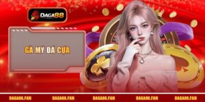 gà Mỹ đá cựa