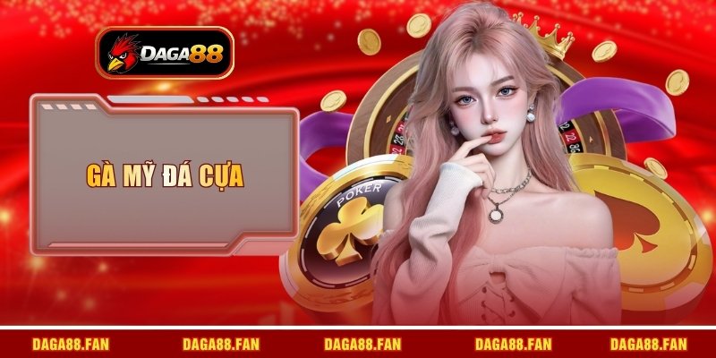 gà Mỹ đá cựa