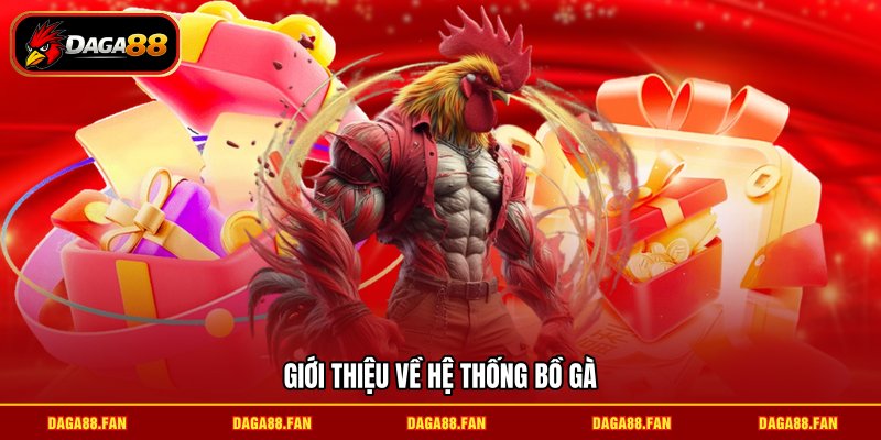 Giới thiệu về hệ thống bồ gà