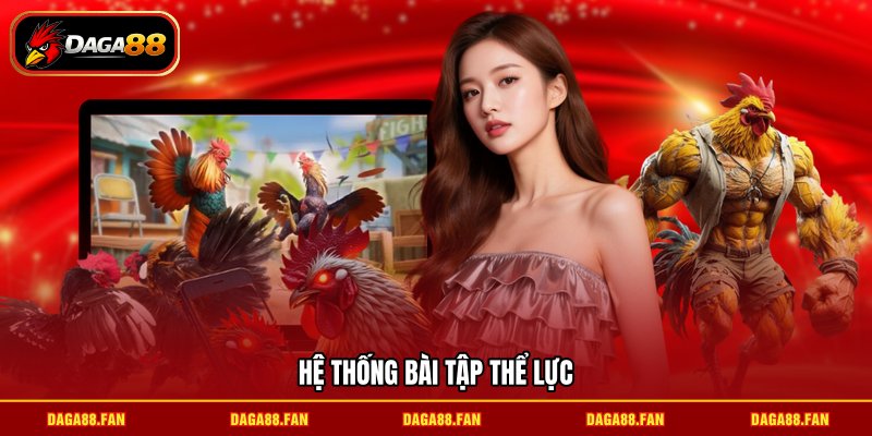 Hệ thống bài tập thể lực