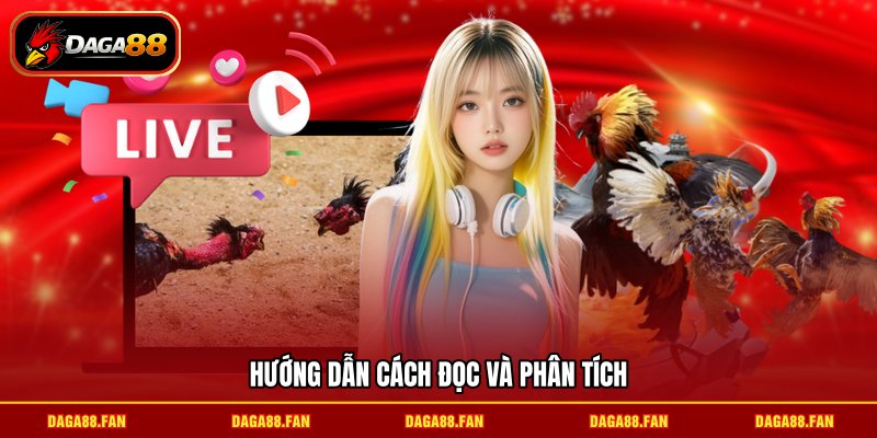Hướng dẫn cách đọc và phân tích