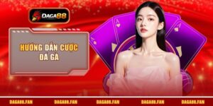hướng dẫn cược đá gà