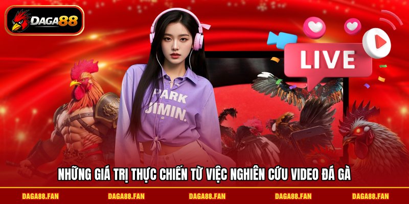 Những giá trị thực chiến từ việc nghiên cứu video đá gà