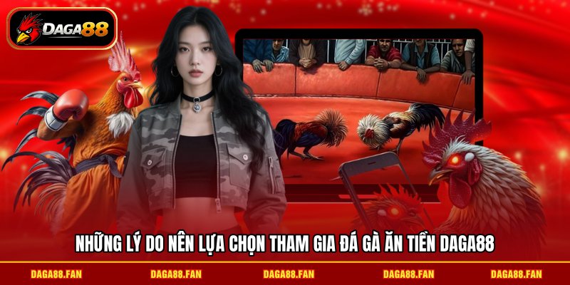 Những lý do nên lựa chọn tham gia đá gà ăn tiền DAGA88