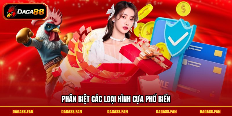 Phân biệt các loại hình cựa phổ biến