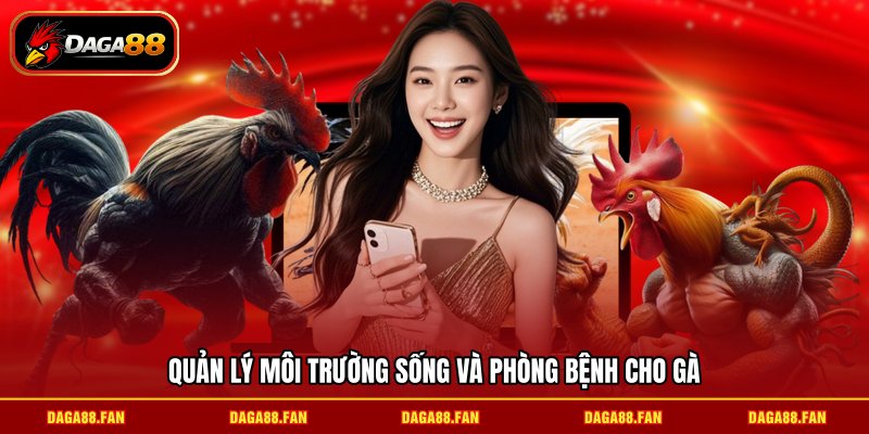 Quản lý môi trường sống và phòng bệnh cho gà