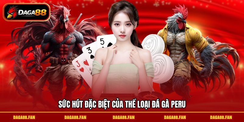 Sức hút đặc biệt của thể loại Đá gà peru