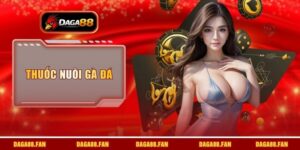 thuốc nuôi gà đá