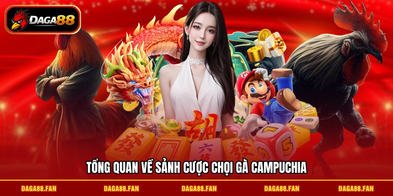 Tổng quan về sảnh cược chọi gà Campuchia