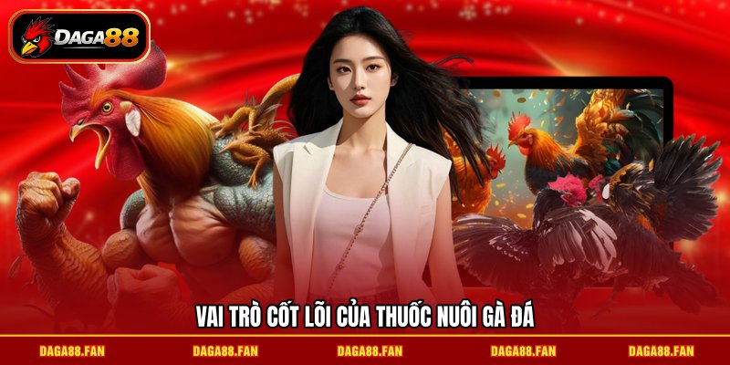 Vai trò cốt lõi của thuốc nuôi gà đá